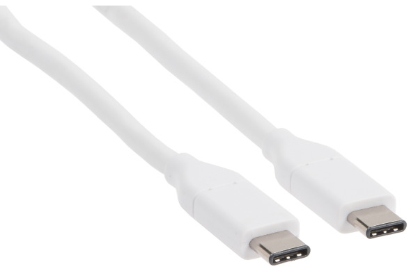 LINK2GO USB-C Cavo 1.0m